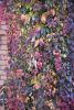 DSC_8734.thumb.JPG.9d89e11ff27f23d738eb53be562cb8a2.JPG