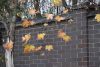 DSC_8736.thumb.JPG.9f15268f598829401ceb67984e05abd5.JPG