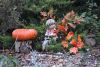 DSC_8747.thumb.JPG.6d2895a1f4d638c186d876d56fb72dcc.JPG