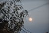 DSC_8754.thumb.JPG.633d2486686c7e07ade2256036154a34.JPG
