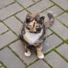 DSC_8846.thumb.JPG.2951cb3bce2c97edcf9201b21e2cc632.JPG