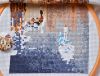 DSC_8906.thumb.JPG.a44b060bd5e2b910a74a304d49a636f1.JPG