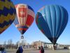 IMG_20251103_153424_1.thumb.jpg.db2c0ad7ca5a4cfece62b8c9ca7189da.jpg