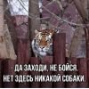 IMG_20251119_030250.thumb.jpg.5a512c8da781e7b867eb238357edb028.jpg