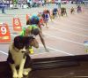IMG_20251119_030444.thumb.jpg.dcfcec19fc681d9ee231a5a2935ebb20.jpg