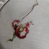 IMG_20251119_103033.thumb.jpg.43d6a187b3c9a6513307e39143b301a0.jpg