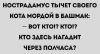 IMG_20251128_151602_063.thumb.jpg.2ca5fbc01c0c97b79cb50f19d3a39b82.jpg
