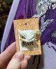 IMG_3620.thumb.jpeg.fcd7ed5efe2c9173abefe205299c2a96.jpeg