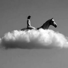 голубоглазка