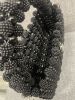 IMG_8300.jpeg