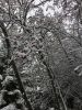 IMG_9185.thumb.JPG.dc901041625eba4cd3e3dcac91a3290f.JPG