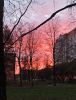 TNhMwipAoVe7Qhsx2w58vvlNYhI5N-c3.thumb.jpg.6dc2c5a951c7a7f72a3c259477adc0ec.jpg