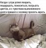 h-1204.thumb.jpg.41b8d3783db6e1e551e958ff3f679849.jpg