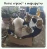h-1218.thumb.jpg.caa120a61f40be1e51d24abd0fcf429a.jpg