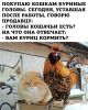 h-1272.thumb.jpg.27c3942d9caa364a5da88ef3c1dd6a6b.jpg