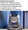 h-879.thumb.jpg.fb64c027aa677cdcc4c516a0e6481bdd.jpg