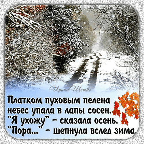 otkrytka.thumb.gif.e18b7a4e466d32f524a3963dd62e0379.gif