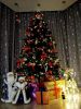 -X5J-hD0B58.thumb.jpg.813e18d9b2940d97d8525f50792cbff0.jpg