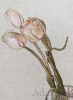 12663_77.thumb.jpg.c5322c1216d54fd576b1090384136bed.jpg