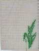 1320849368_.thumb.jpg.245531c5ec541296e2ebf74f3a10bd96.jpg