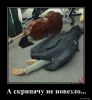 1674723817_demki-11.thumb.jpg.46e3ea00cad3135c1178792bb2a5b17a.jpg