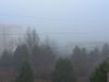 20251112_091923.thumb.jpg.e306fe3fb4045b176d0641f3977e41de.jpg