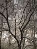 20251115_005358.thumb.jpg.3abf461e8fa5a3ca5d8be338f0669b6a.jpg