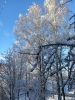 20251115_105450.thumb.jpg.e94377852edc7732b4c314ddd926d1b4.jpg