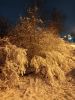 20251115_201123.thumb.jpg.9a5bedff6a431bbc13fe30807a6ec00f.jpg