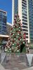 20251117_144219.thumb.jpg.08f9e4608de43ab058fd9dfde1117dcc.jpg