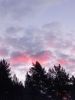 20251121_081237.thumb.jpg.4344f7af5206ff606c7dda1eb6304b4d.jpg