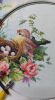 20251125_012216.thumb.jpg.93dbf8c734dd82484bd8707fcfde52e6.jpg