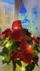 20251204_164631.thumb.jpg.7342102cf93666d8ce3e53fc1a488231.jpg