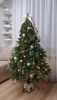 20251214_195025.thumb.jpg.4ca38ff8db3650e95e6c087934637c69.jpg