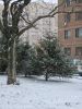 20251216_122821.thumb.jpg.9aaac359db19147191ed5483ecaf2867.jpg