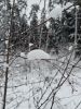 20251228_140915.thumb.jpg.85992e186a8f320586ff47d418e31b37.jpg