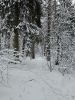 20251228_142715.thumb.jpg.aa303be4b8db6fd3a7730e9fce306742.jpg