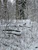 20251228_143210.thumb.jpg.849fb6e04115d1b4c7adb68475d98173.jpg