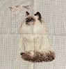 2133750305_Meow-ZenJuly2025.thumb.jpg.8fcafc0a4640f64dc8eccb568f21dd3b.jpg