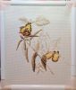 241630916_.jpg.6f1a74937e2cfa2f280385ec59a62a37.thumb.jpg.41ee836966a85ee762e7057552192f7f.jpg