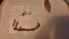25-11-06_1.thumb.jpg.a2bf5c0005728a37f0eca664f5d0e5e5.jpg