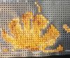 25-11-13_2.thumb.jpg.135f51450ed2cf1a62615835fbb0dbb8.jpg