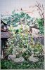 353413957_172-1.thumb.JPG.d66fa7f1574fe1c2abe3c943eefc8a38.JPG