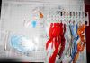 DSC05073.thumb.JPG.aebd7188463c72352c77688f7e1d97f9.JPG