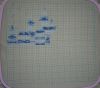 DSC09723.thumb.JPG.1eee2703f32bd468244e5b1ee250f805.JPG