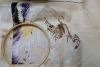 DSCF2016.thumb.JPG.155d197c9d18e7c4686abe48e57f4852.JPG