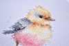 DSC_7571.thumb.JPG.90d7a233ee4da23cf8331a61bdae7c41.JPG