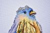 DSC_7751.thumb.JPG.f9ad5df1599bbb7ab4d135969b20f7da.JPG