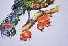 DSC_7752.thumb.JPG.8401cf67259500002895530b3966a527.JPG