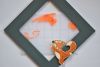 DSC_7952.thumb.JPG.237d2149924b2d7cf2978831fc00b72a.JPG